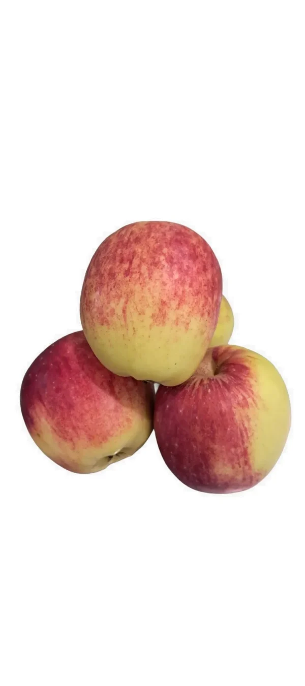 MANZANA TICA