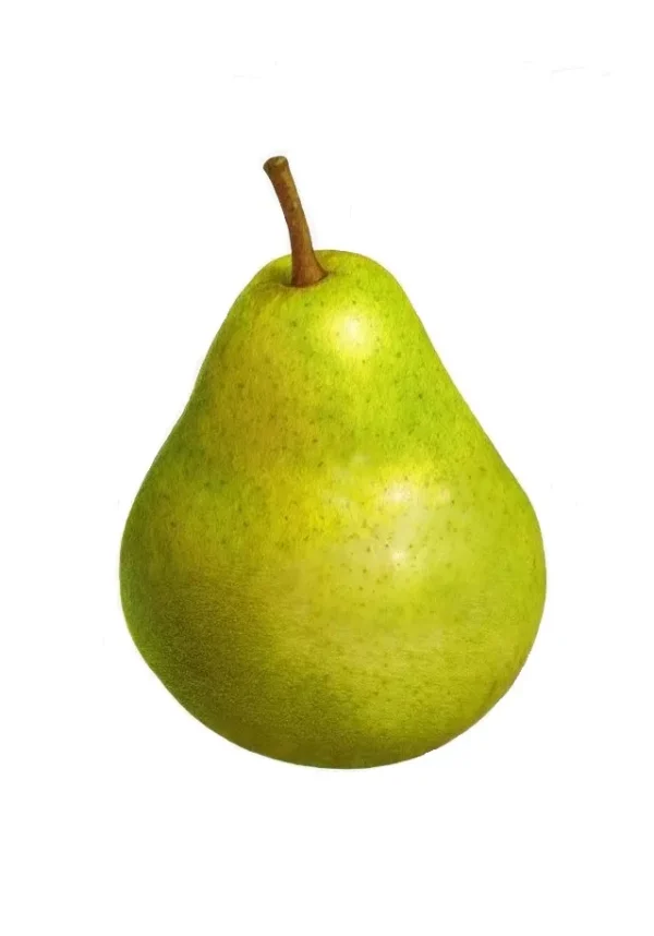PERA