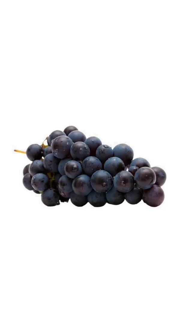UVA NEGRA