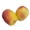 MANZANA TICA