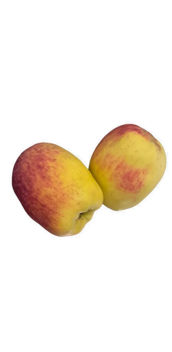 MANZANA TICA