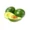 AGUACATE LAMBHASS