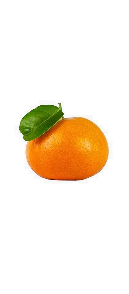 MANDARINA DULCE