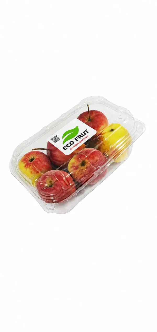 MANZANA TICA NACIONAL